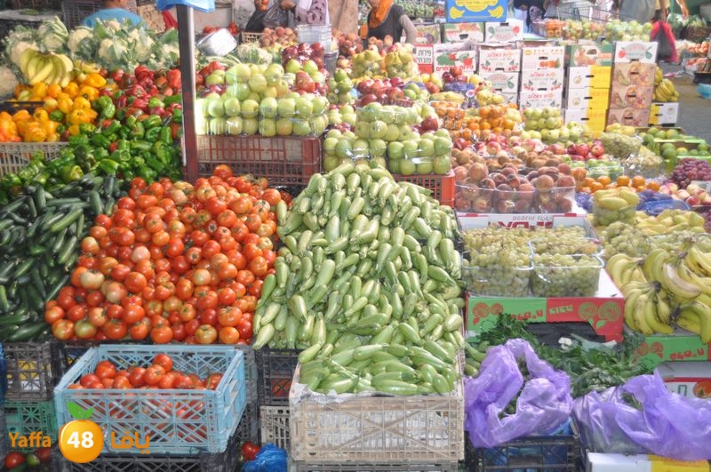 qalqelia soog (32).JPG